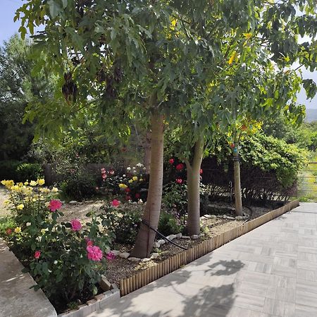 Roses Villa Trimiklini Exterior photo
