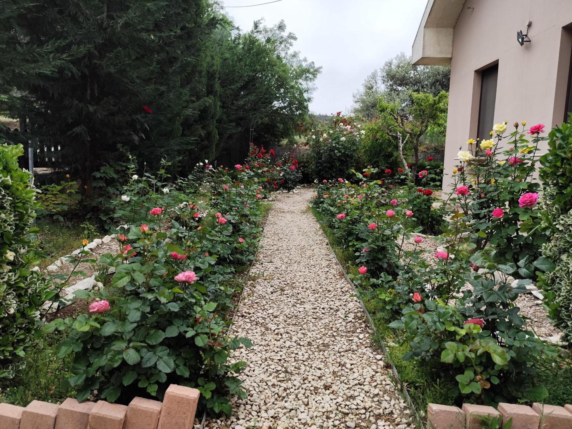 Roses Villa Trimiklini Exterior photo